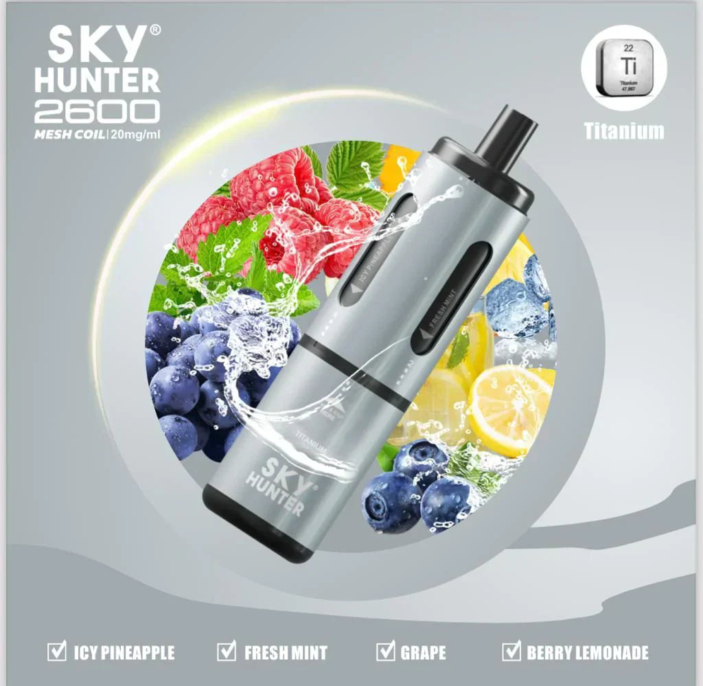 Sky Hunter 2600 Puffs Disposable Vape Pod Titanium / Sliver Device with Icy pineapple, Fresh mint, Grape & Berry lemonade flavors
