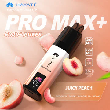 Hayati crystal  Pro Max+ 6000 Puffs Vape Kit - Pack of 5